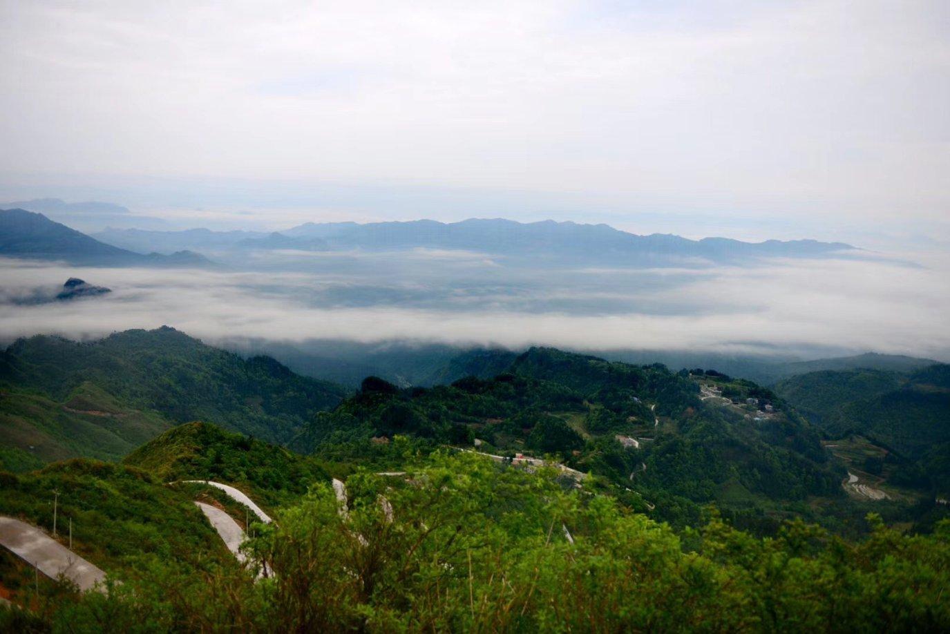 小艾比当海军