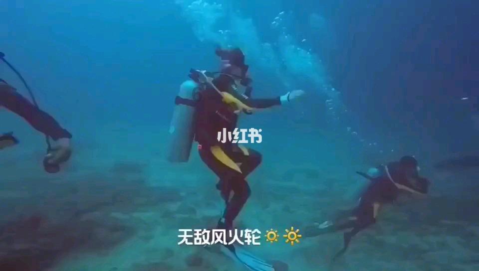 word为什么打不开 要开启安全模式,解决疑难问题