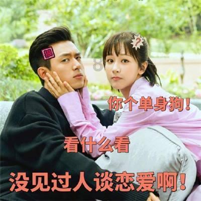 高考恋爱100天