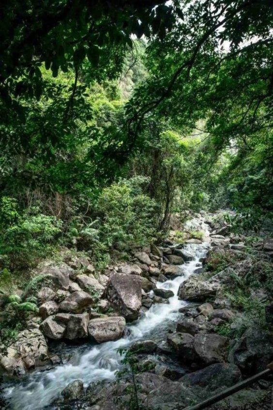 专访|“一带一路”给太平洋岛国带来发展机遇——访瑙鲁政府新闻办公室主任奥尔森