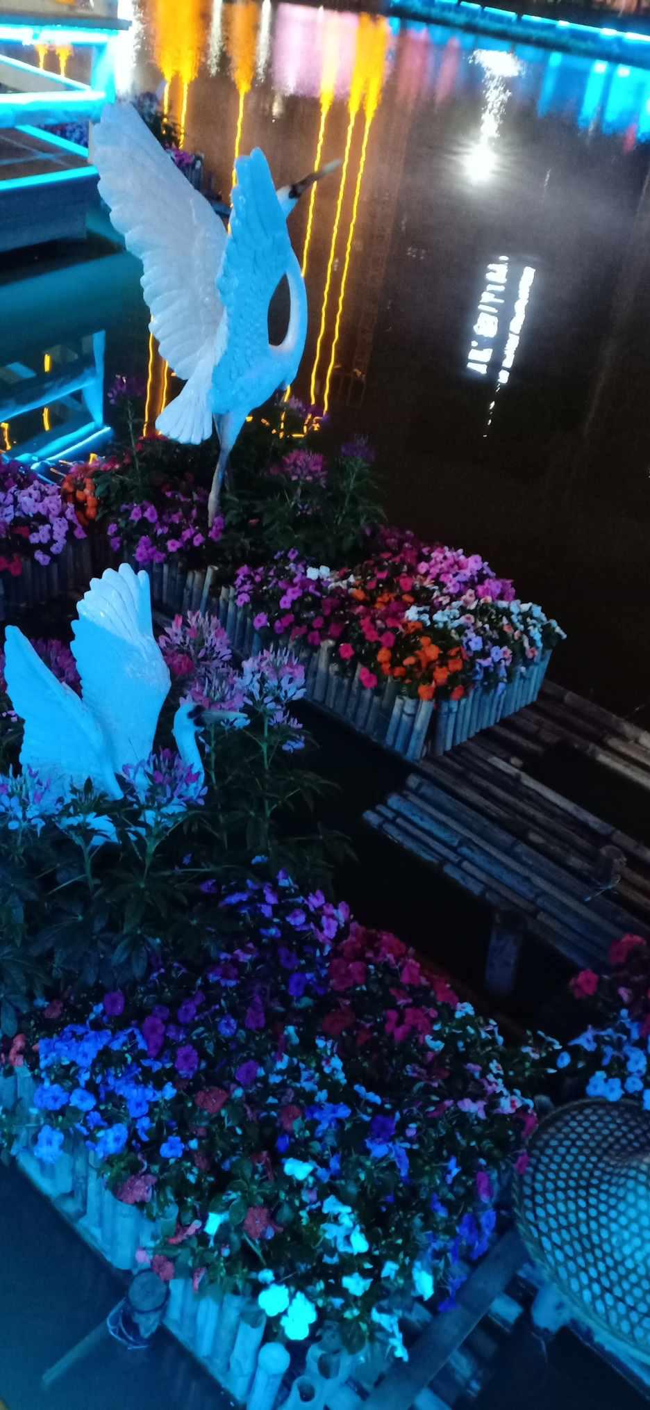 智慧蜗牛,不喜欢嫂子应该怎么办?问答平台