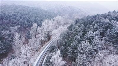 南宁大明山1月21日预计会出现雾凇美景